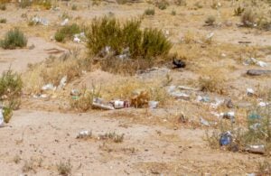 Border Stories Trash in Desert