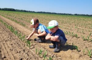 Fields-of-Corn Contest