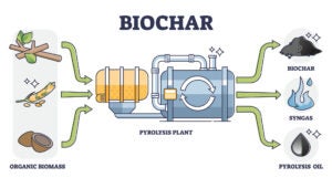 biochar-graphic