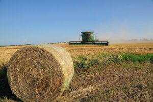 kansas-wheat-harvest