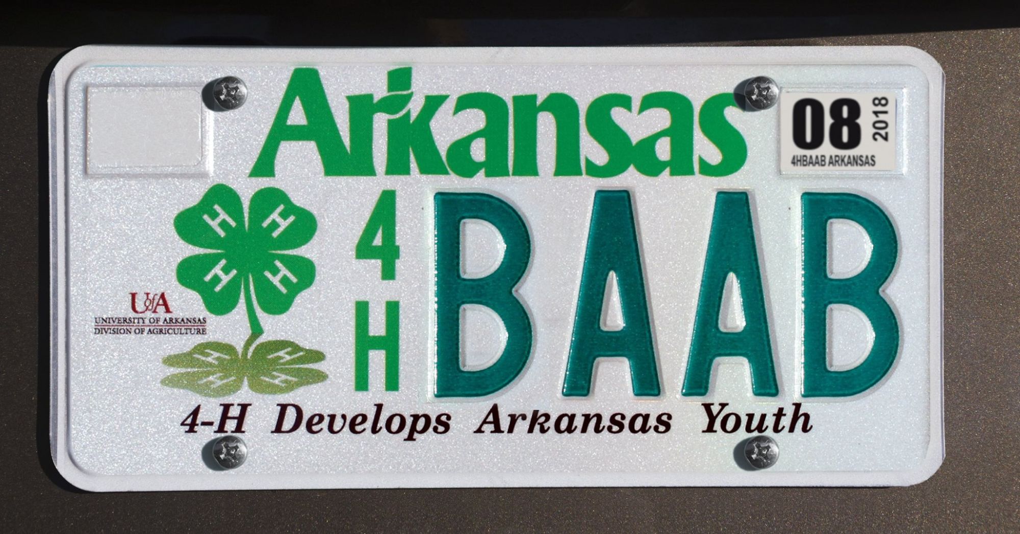 Arkansas License Plate