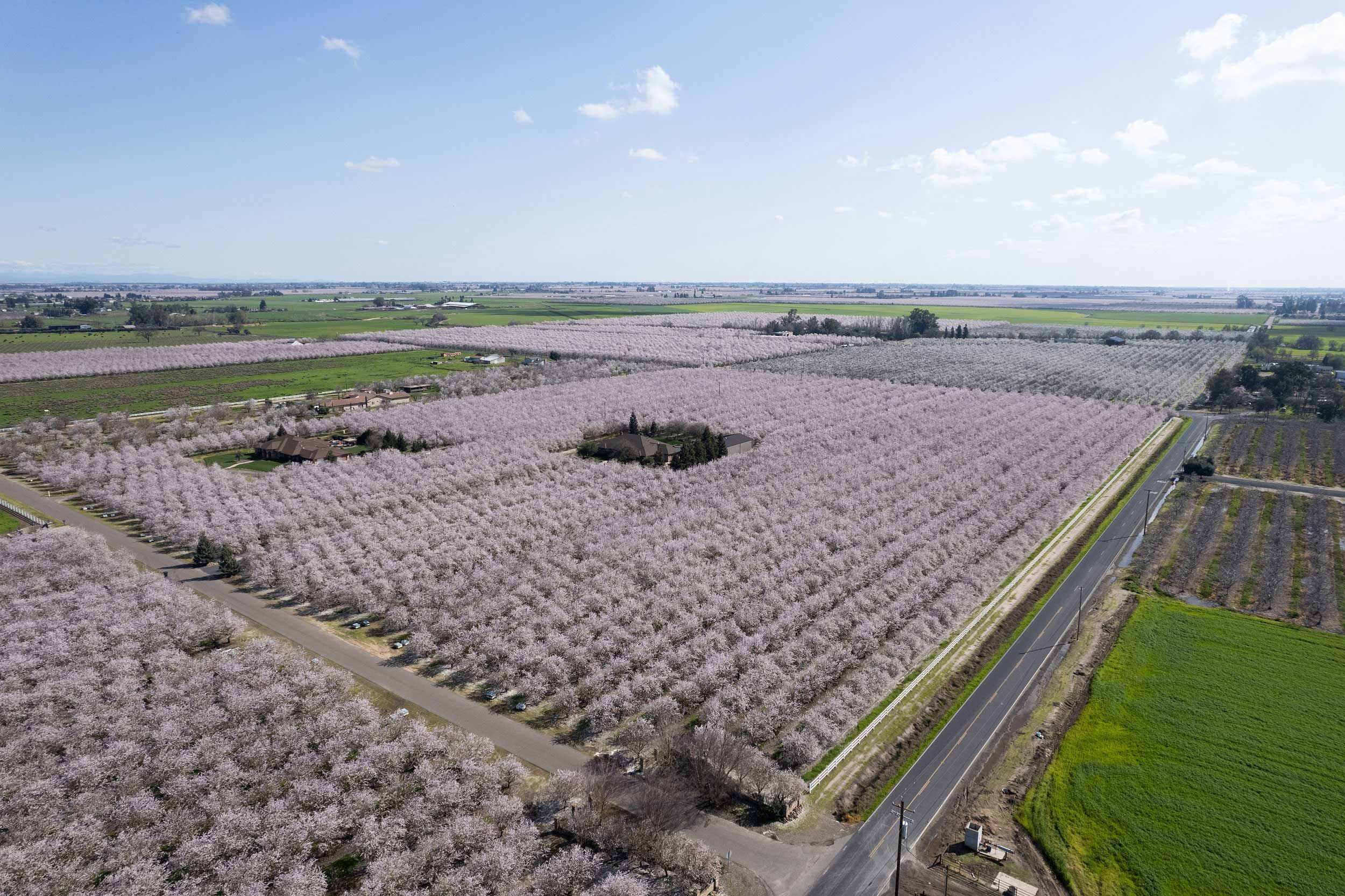 california-central-valley-almonds