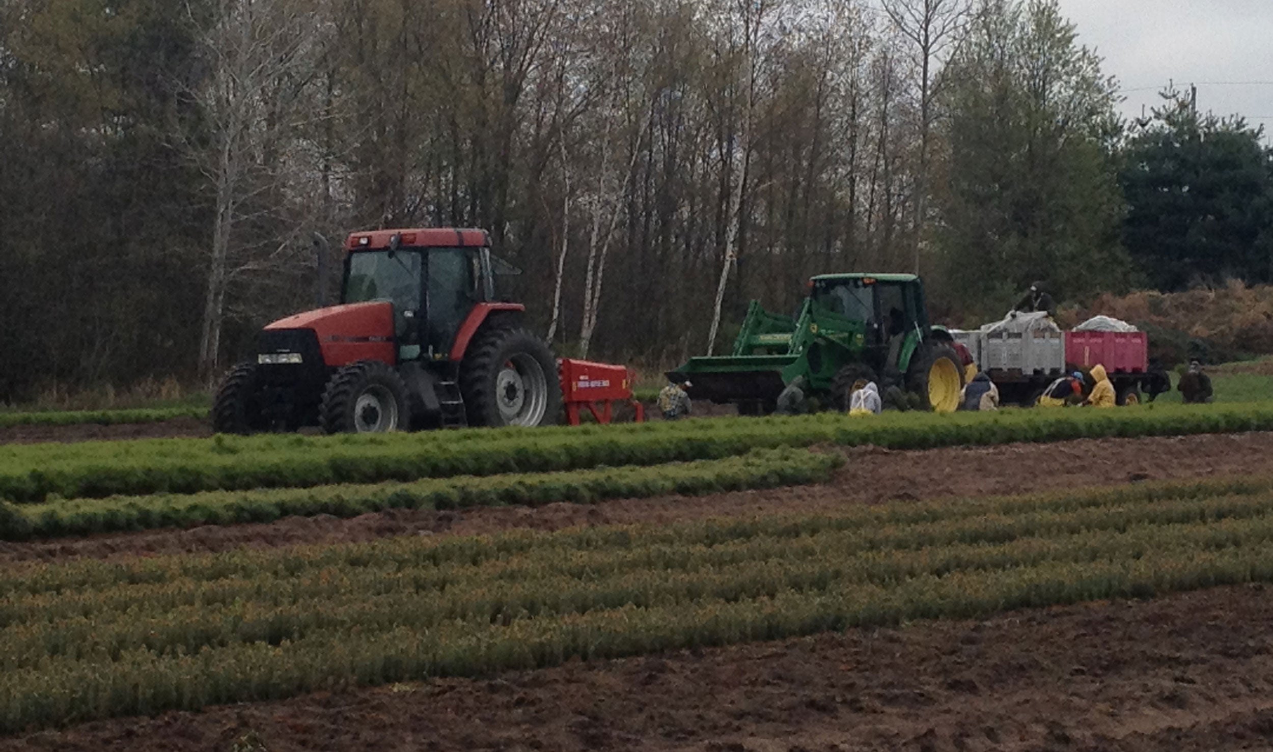 Dutchman-Tree-Farms-Michigan-farming