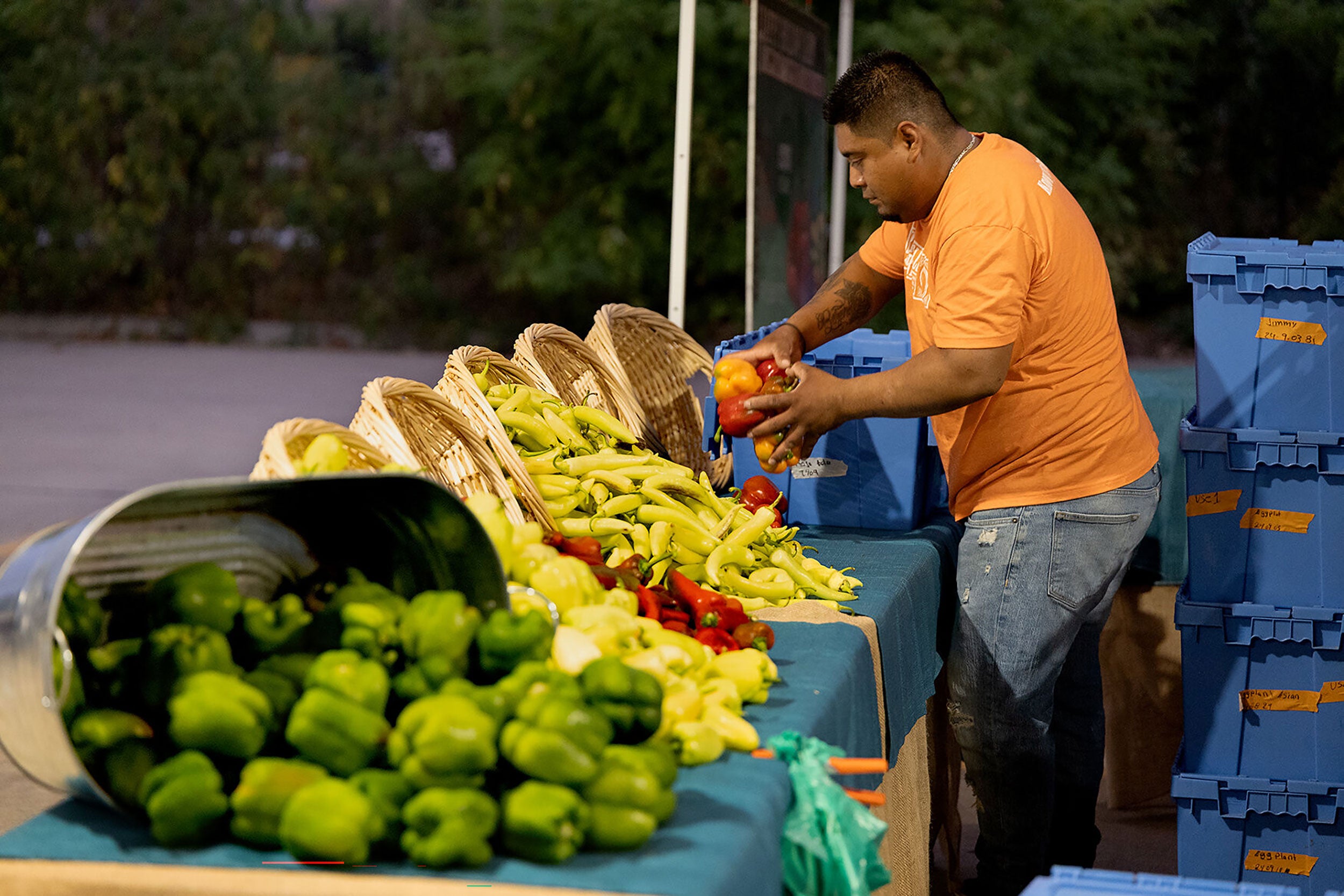 Happy-Hollow-Farm-Market-01