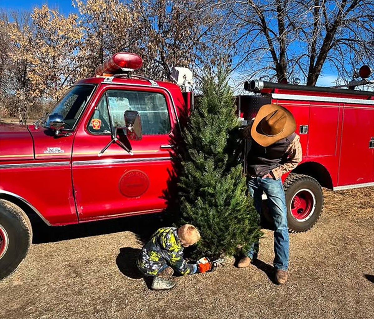 OsbornFarm-colorado-tree-kids