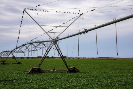 2026 Farmland Market Isn’t Weakening, but it is Evolving