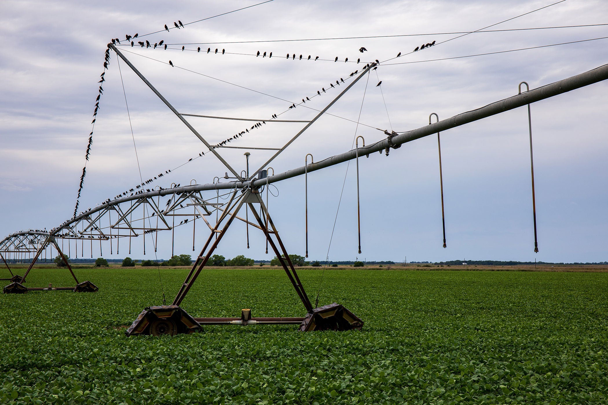 kansas-farmland-crop-irrigation