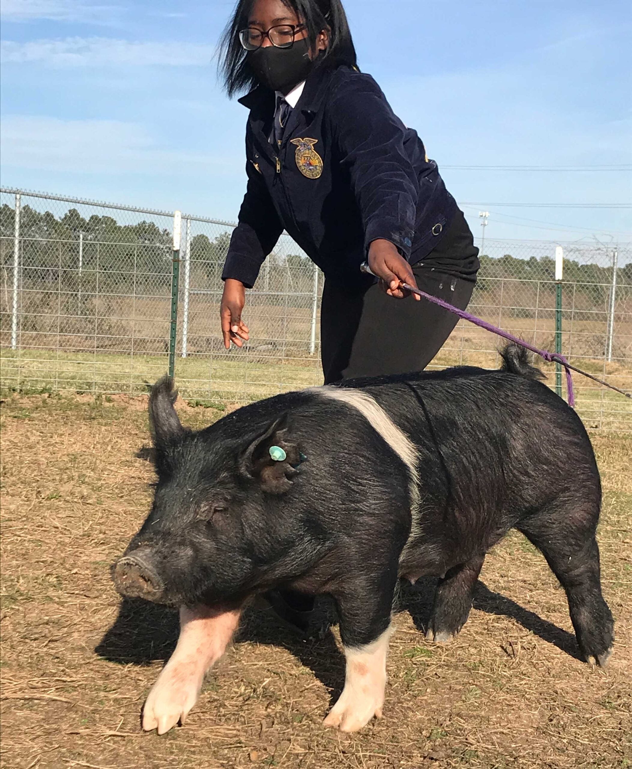 tahja-sims-ffa-pig