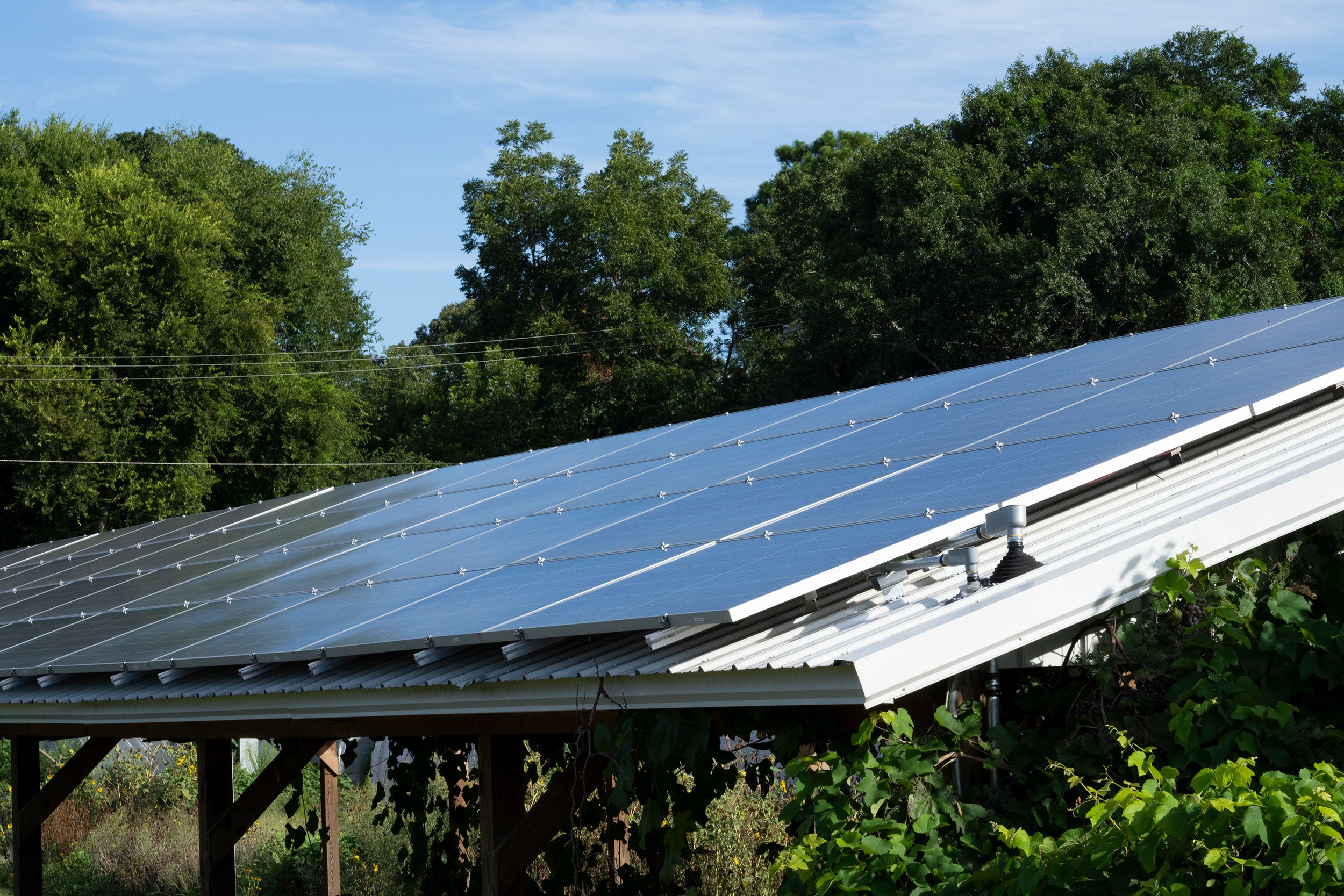 Solar_South_Carolina-rural-funding-issues