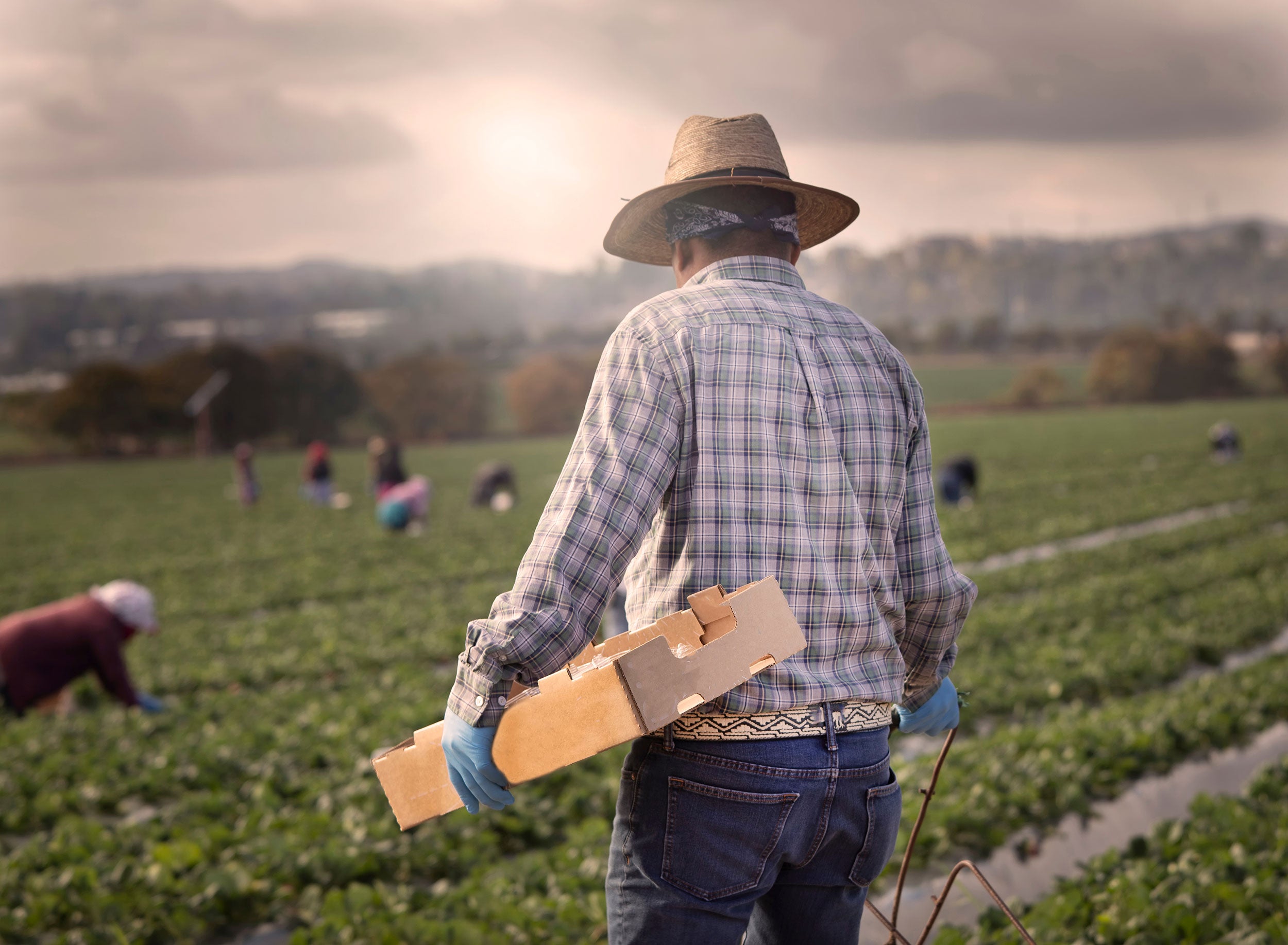 migrant-farm-laboror-F-Armstrong-Photography