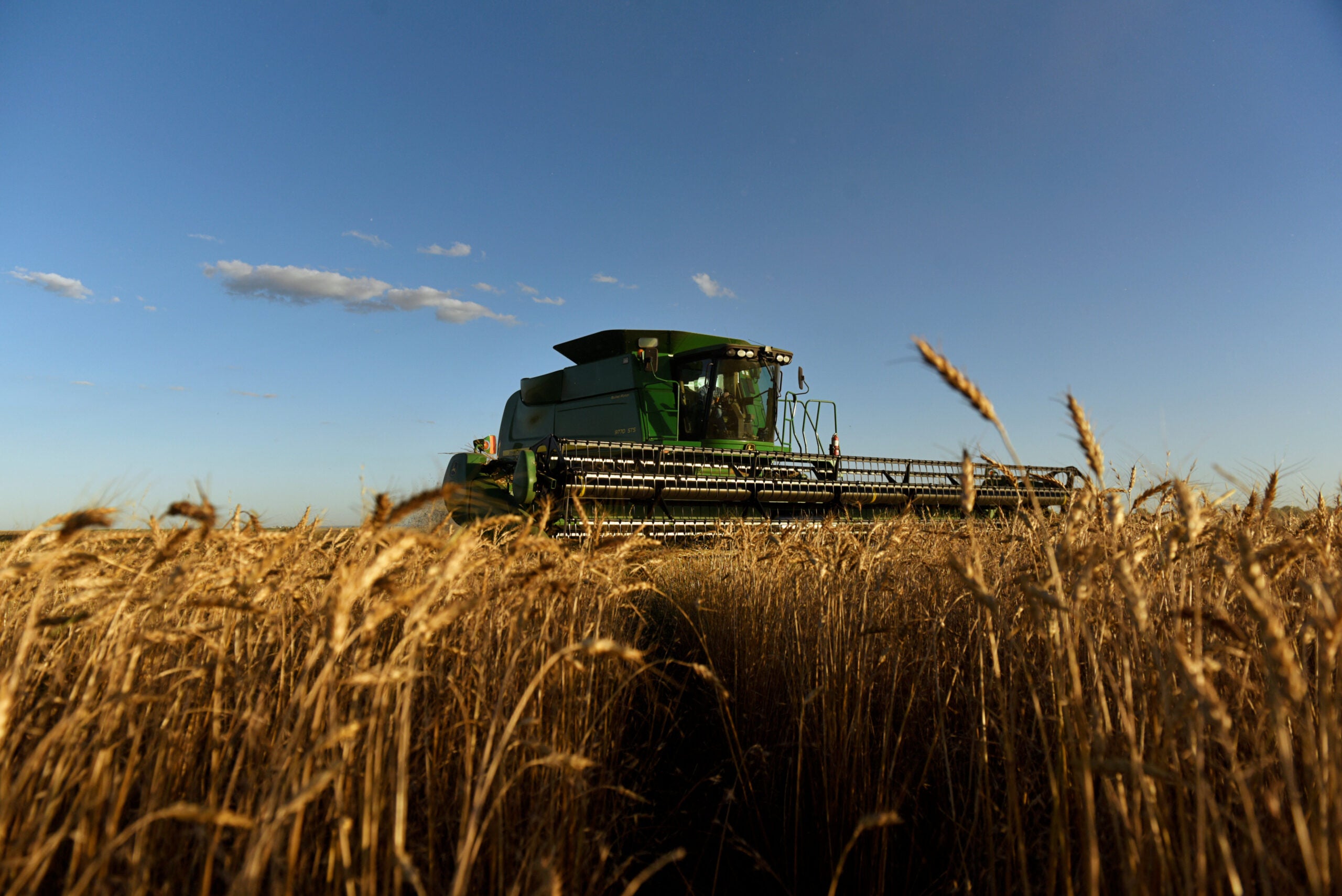 Combine Harvesting Wheat