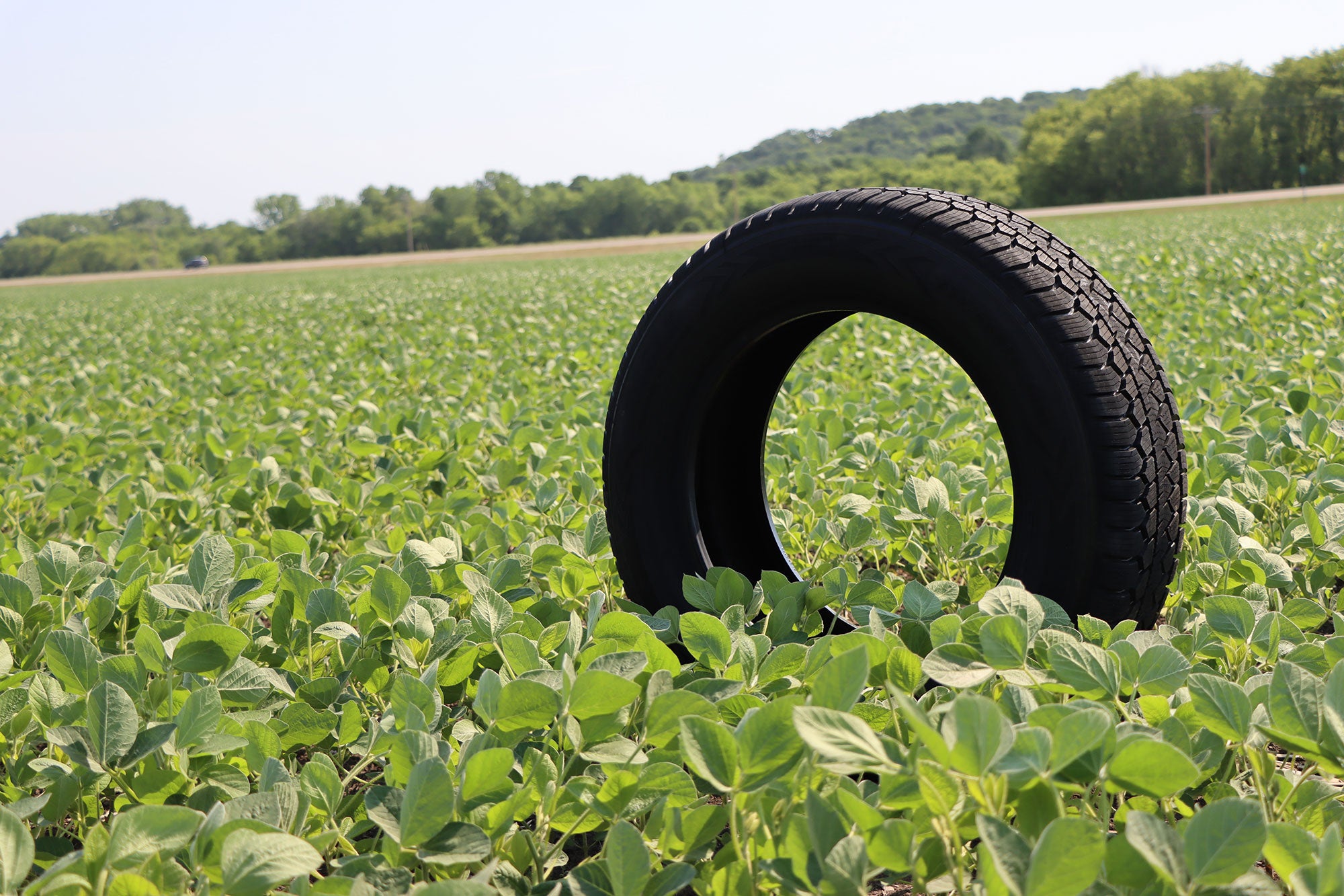 soy-tire-bridge-for-youth