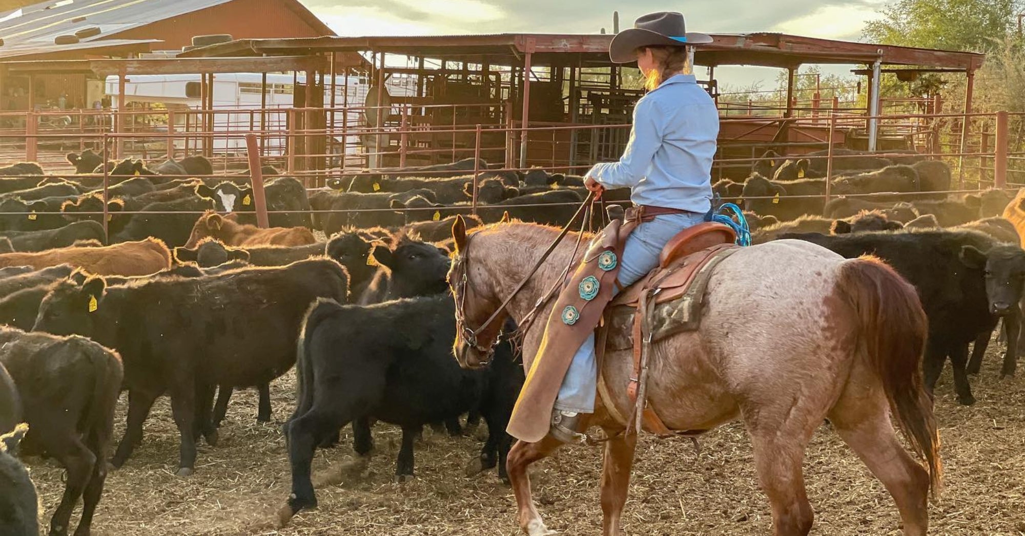 Cowboy Hats