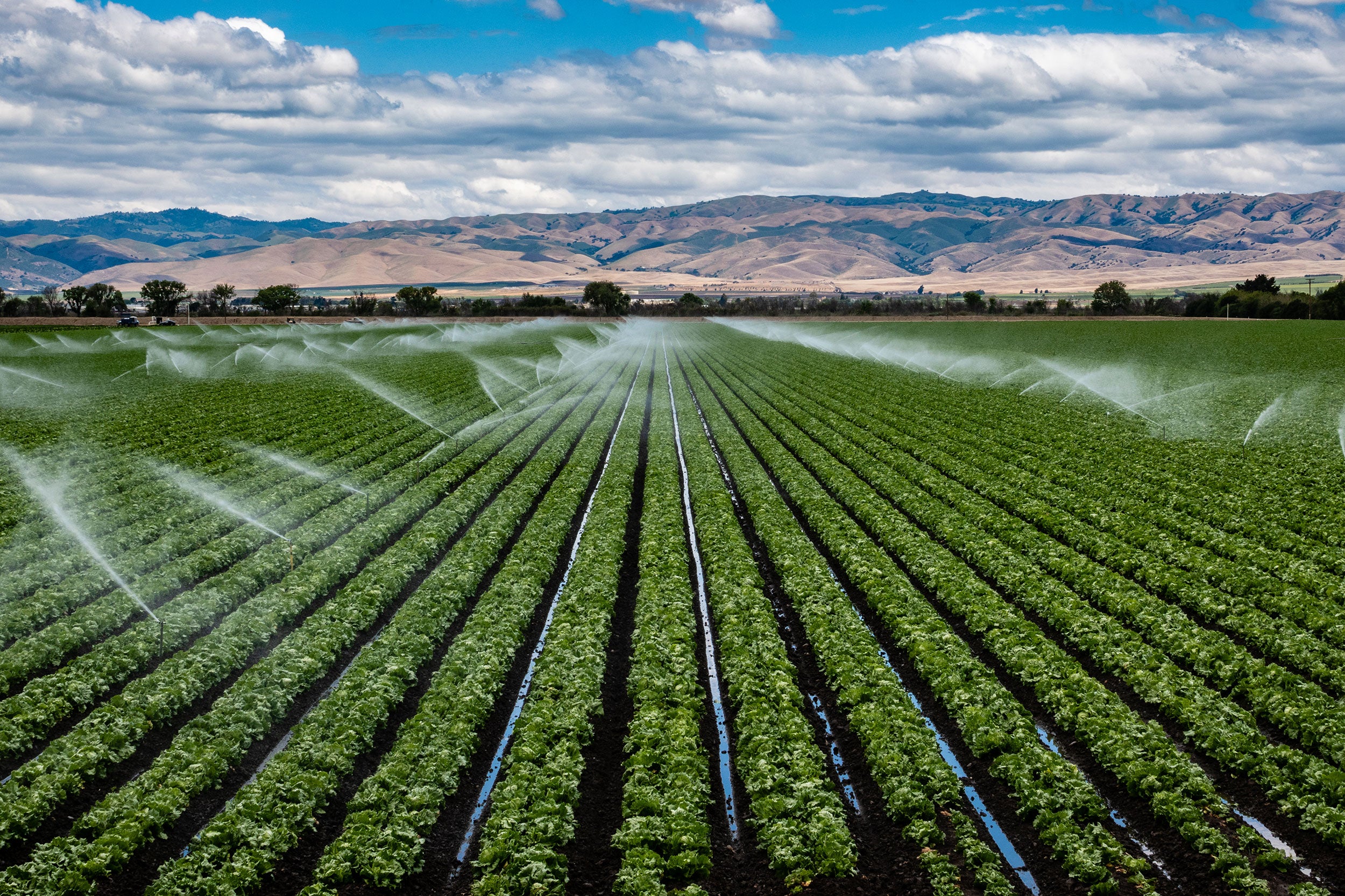 irrigation-salinas-valley-california
