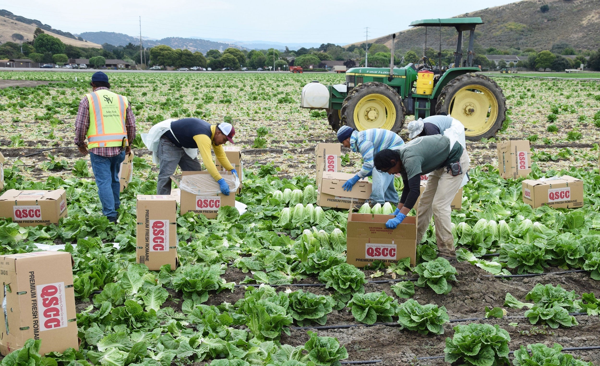 migrant-farm-laboror-David-A-Litman