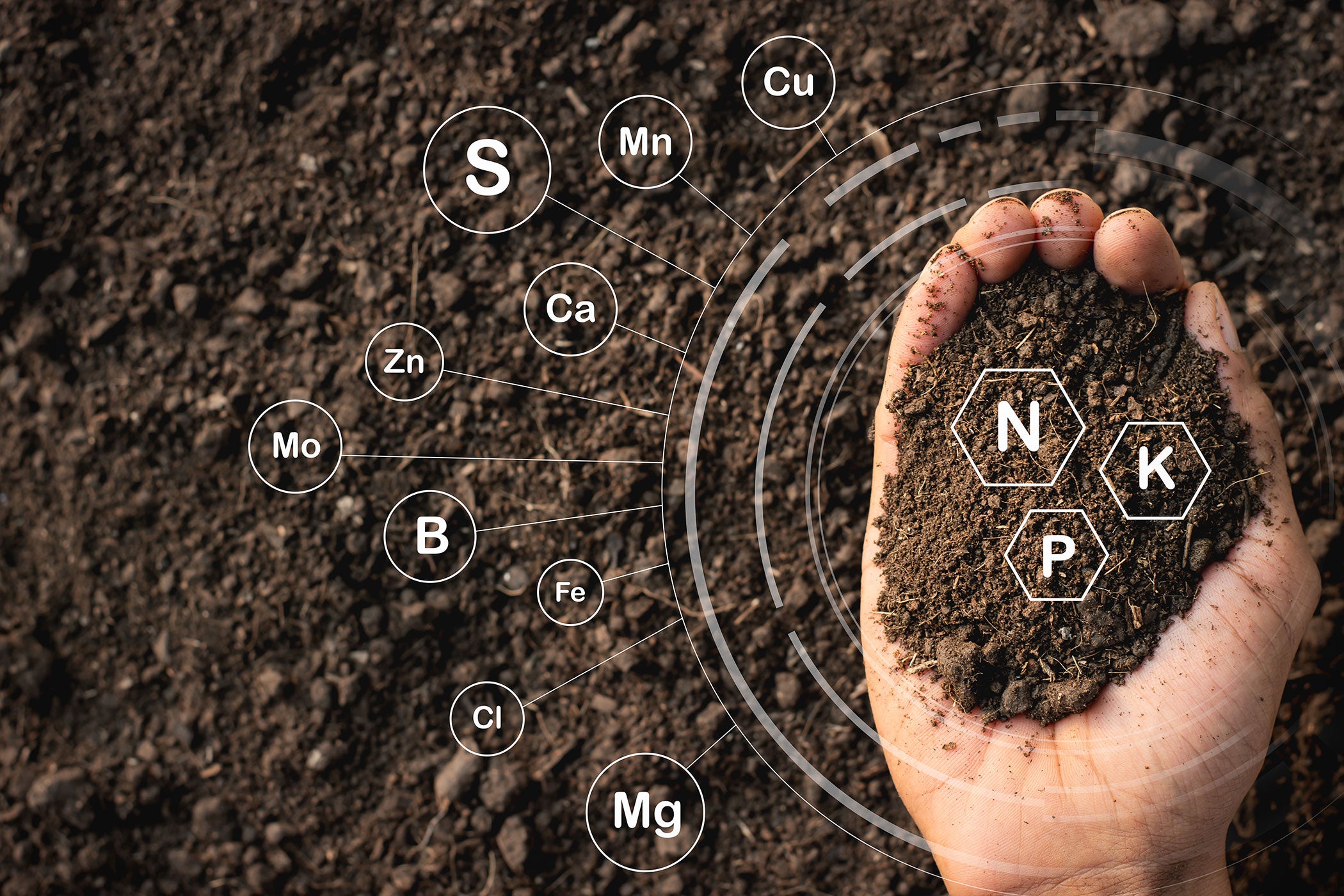 npk-fertilizer-sponsored