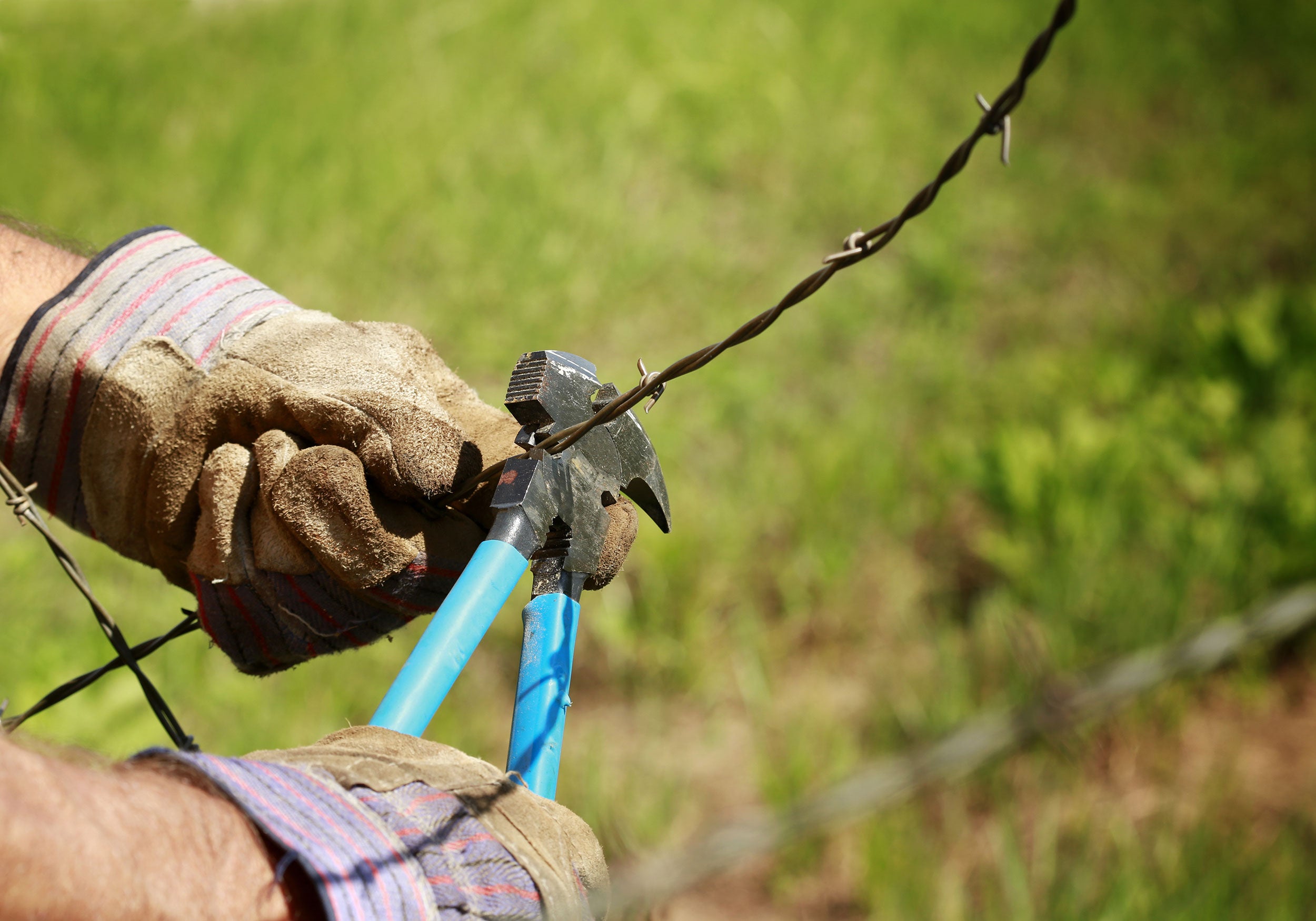 removing-old-barb-wire-fence