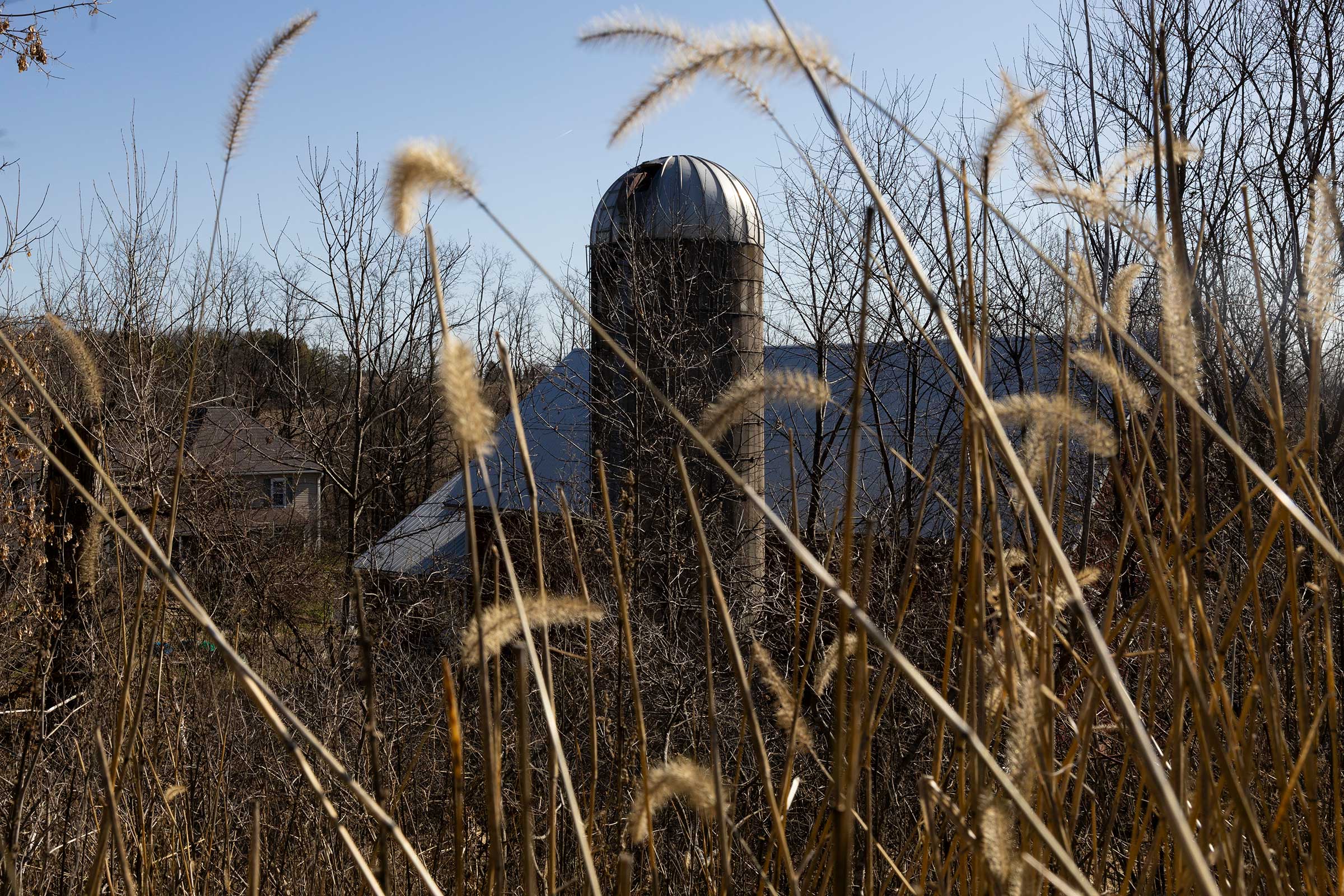 Jess-Wisconsin-silo-farmer