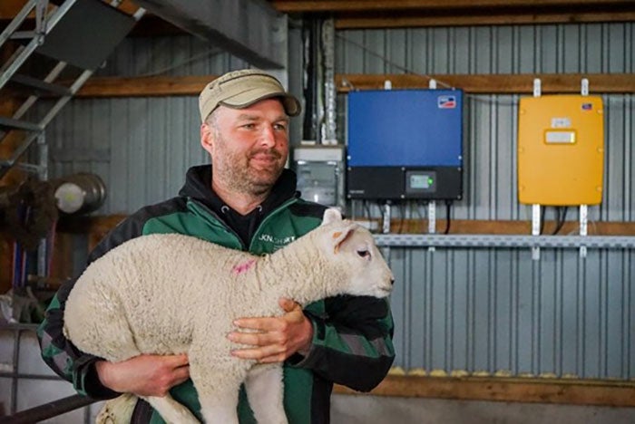 Kruse-lamb-German-Farmer