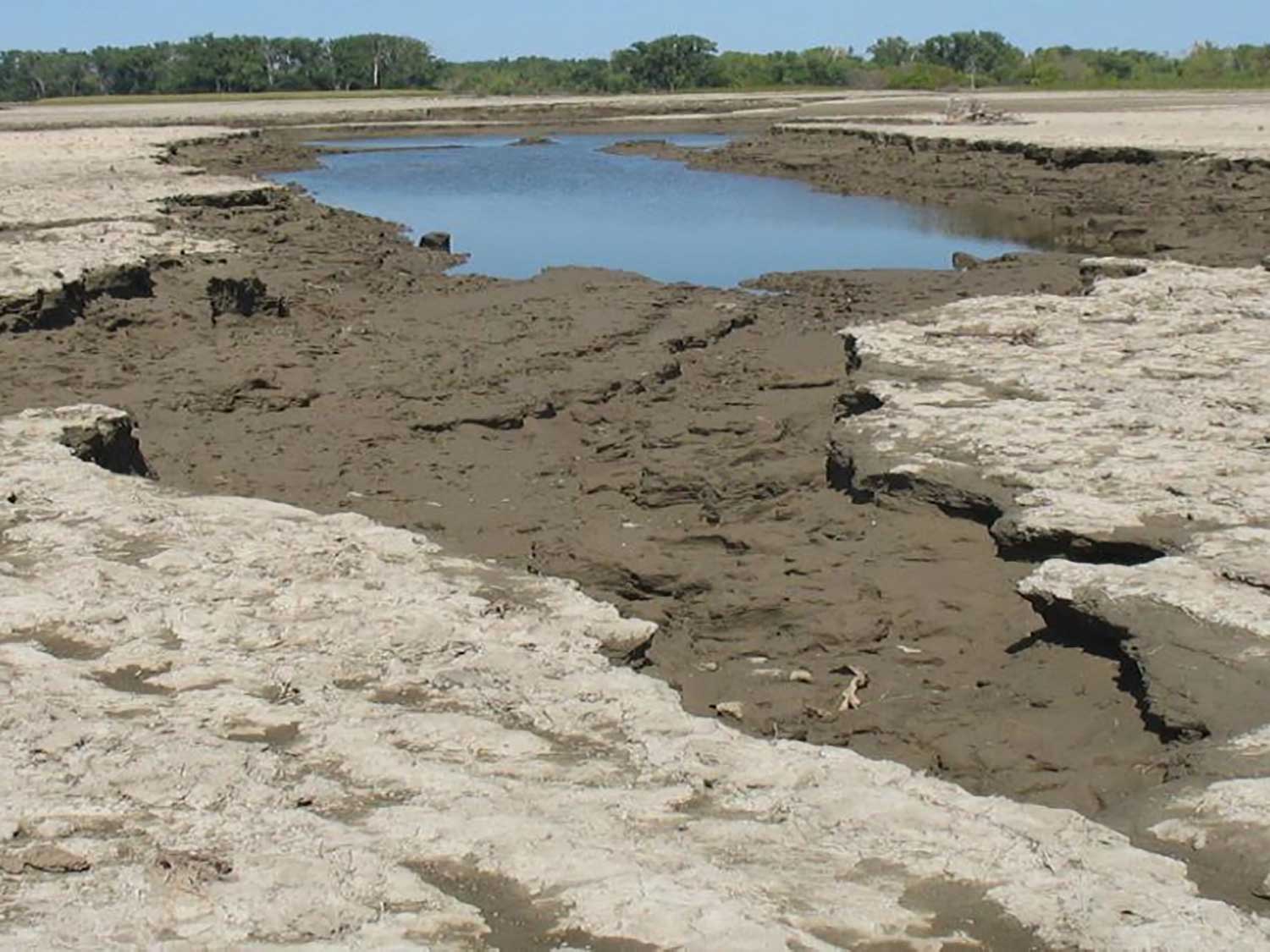 soil moisture