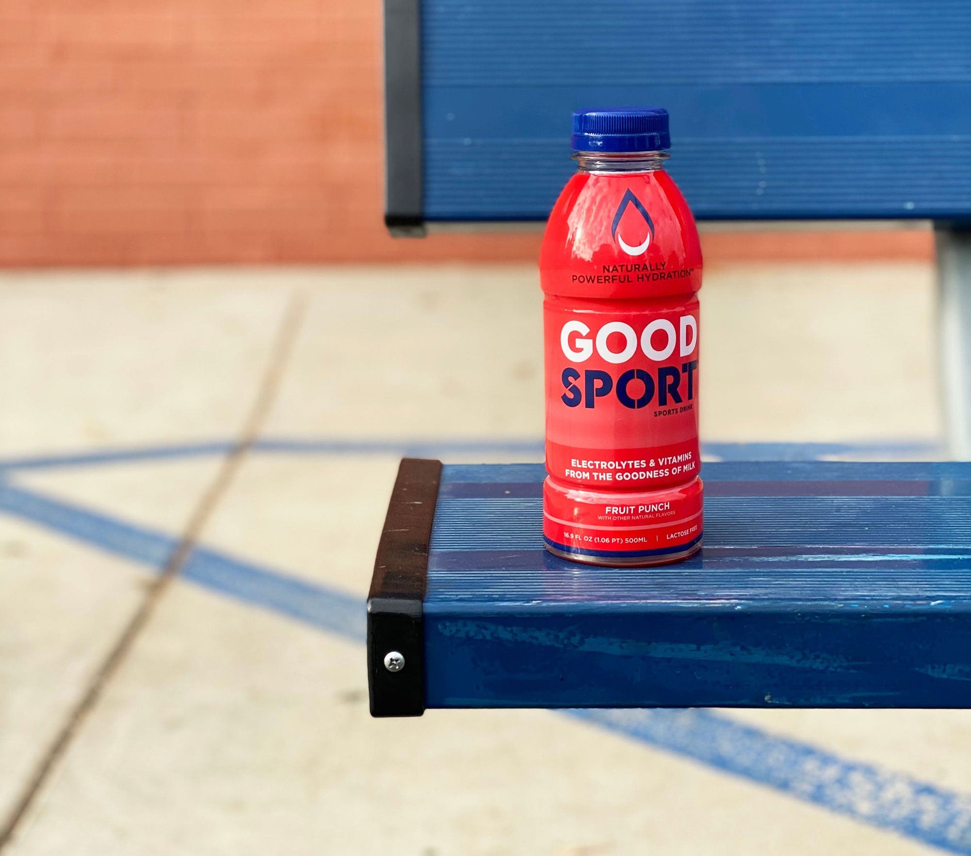 good_sport_hero