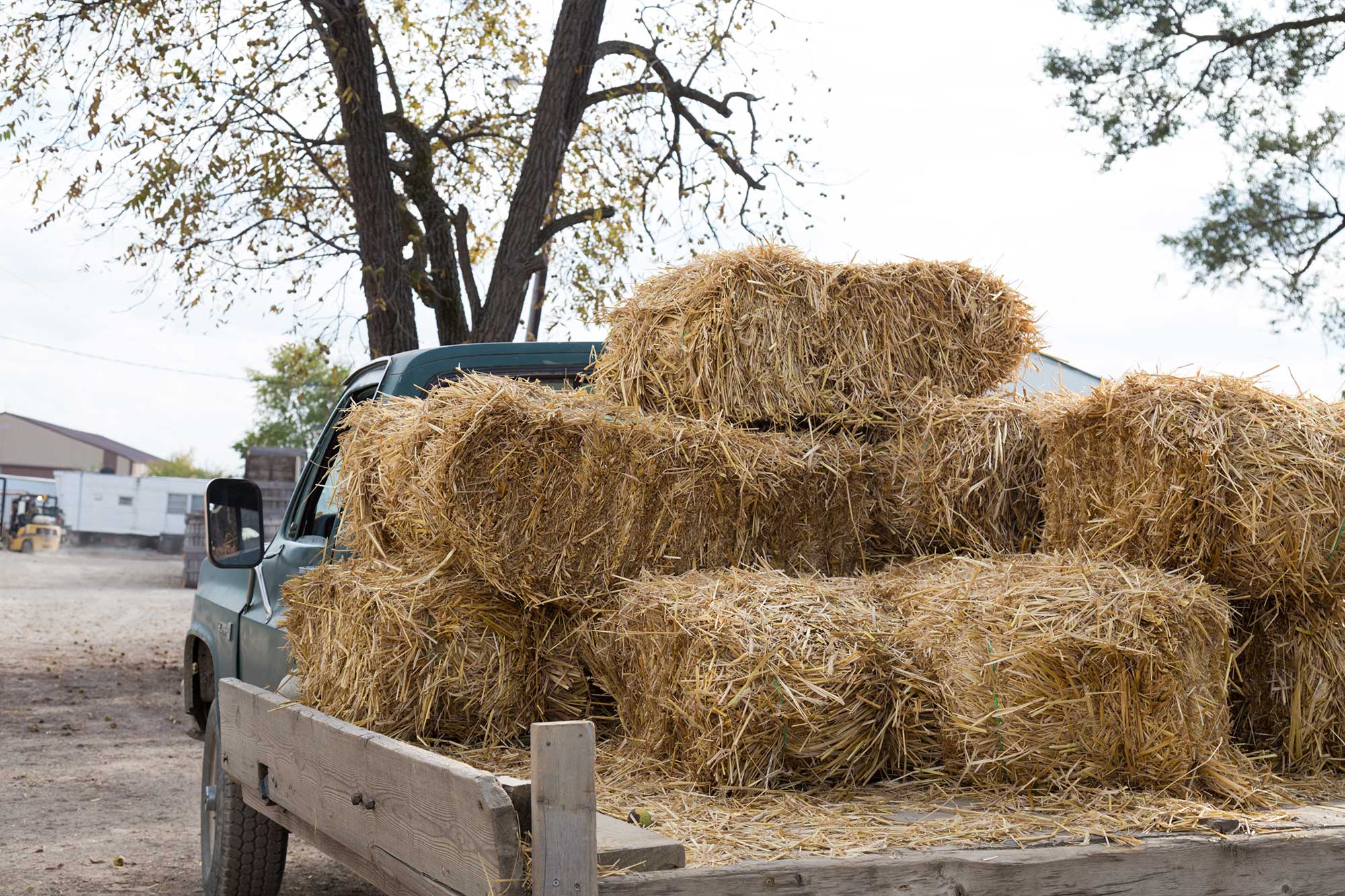 hay-square-bales-pickup-truck