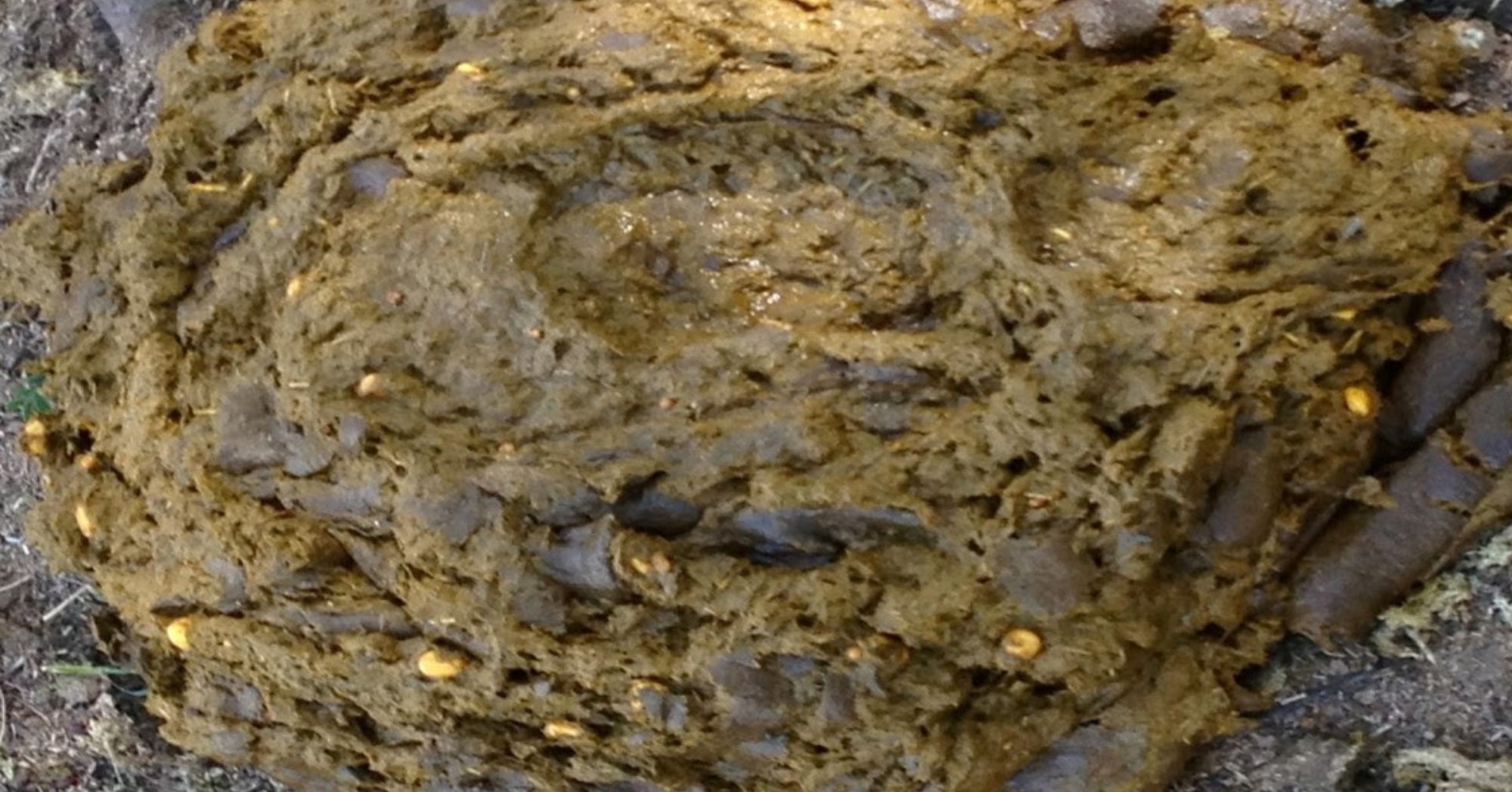Purina Manure