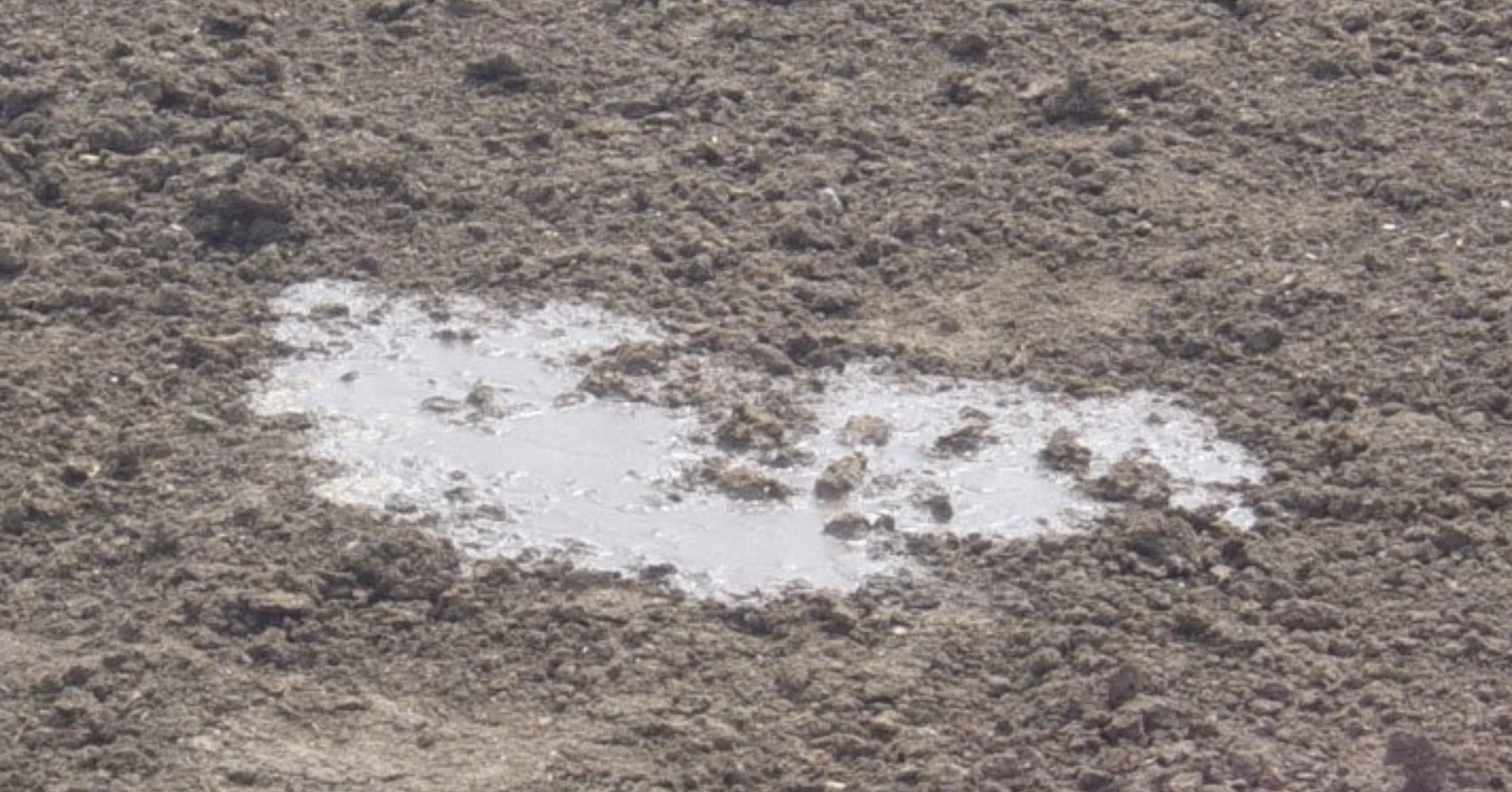 Purina Manure