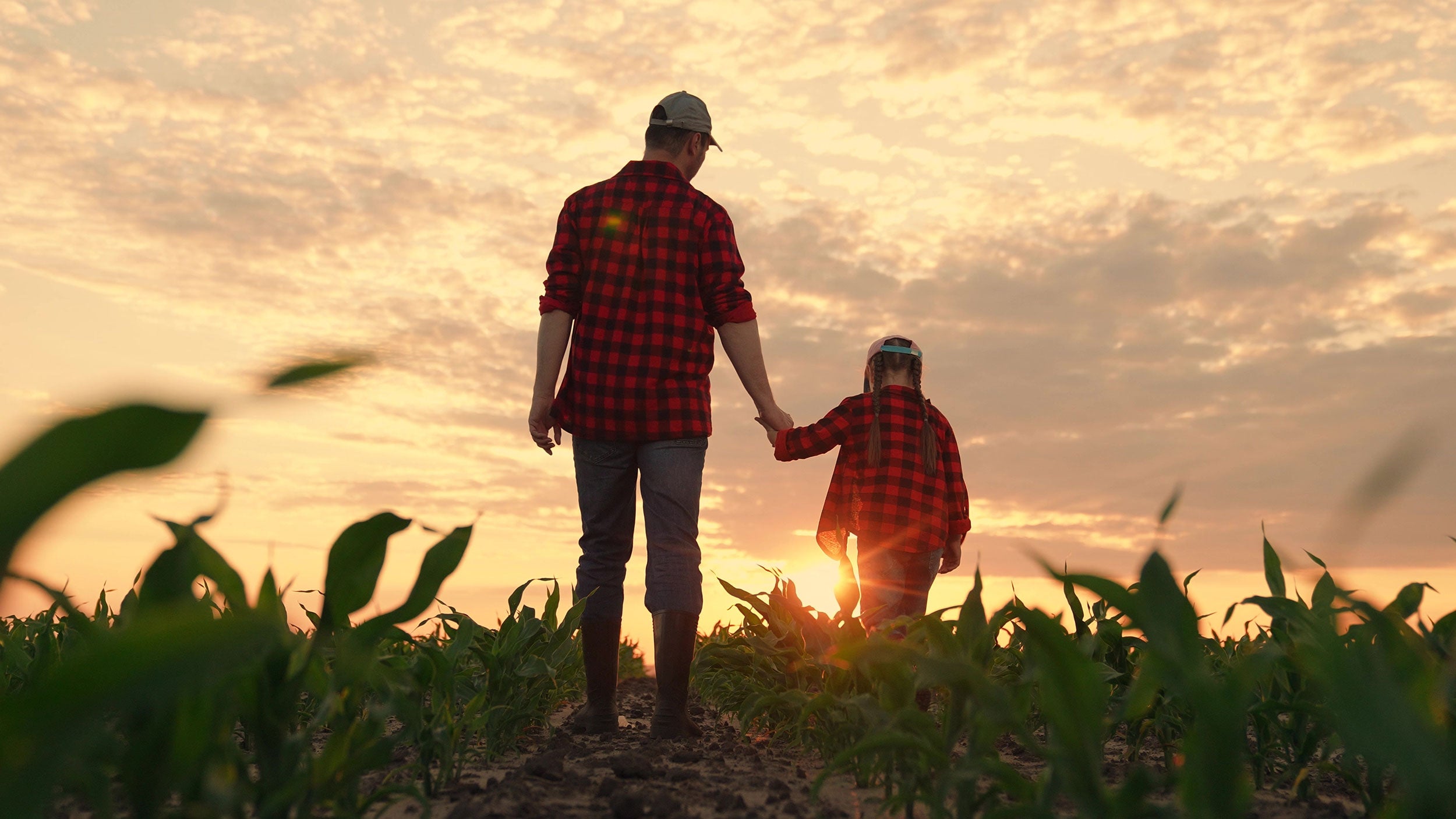 families-managing-stress-dad-child