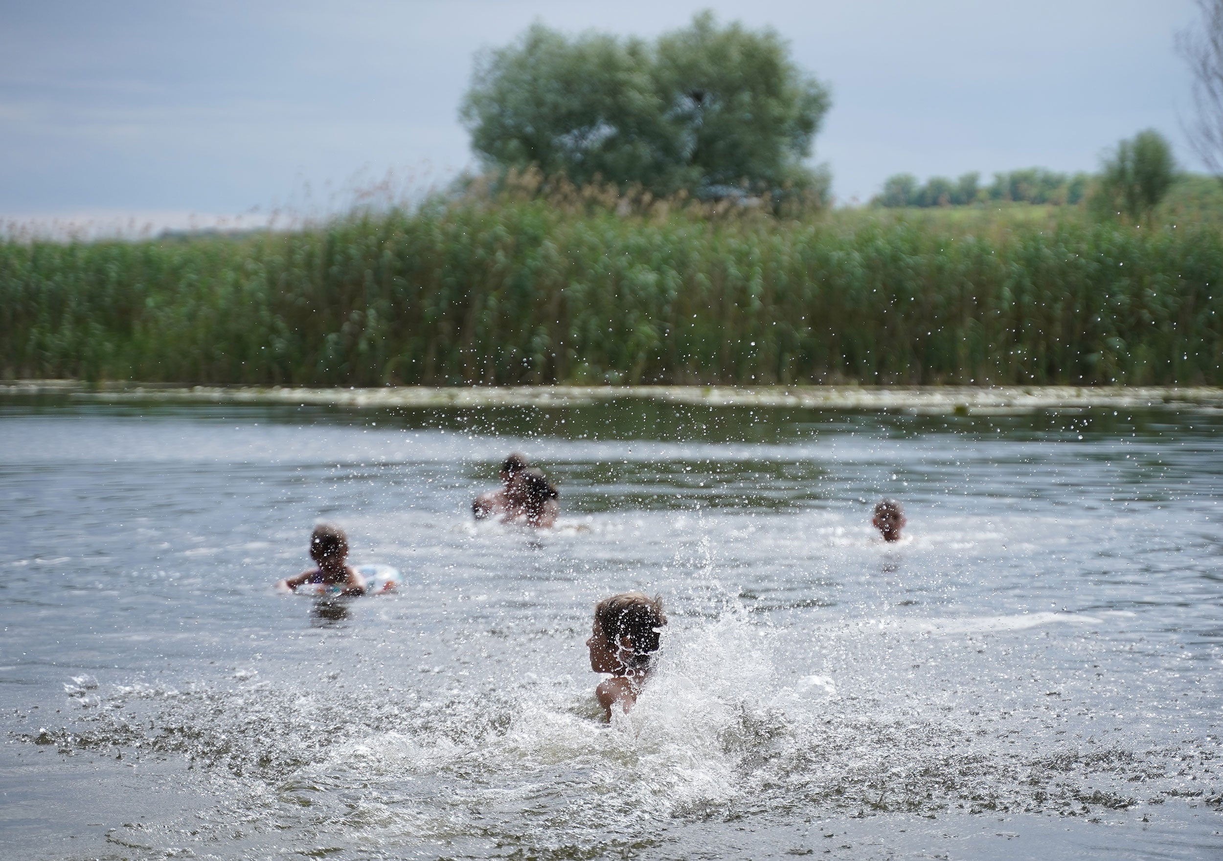 farm-pond-swimming