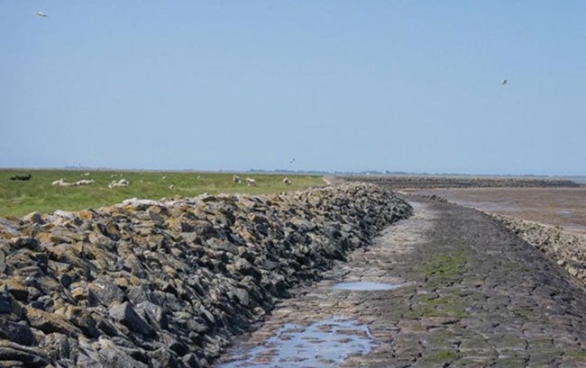 seawall-northern-germany