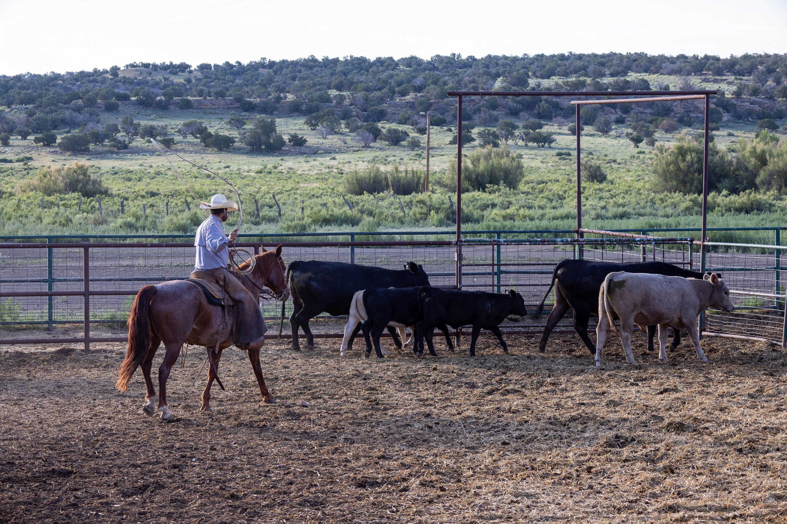 Great_Western_Ranch_New_Mexico_Cowboying