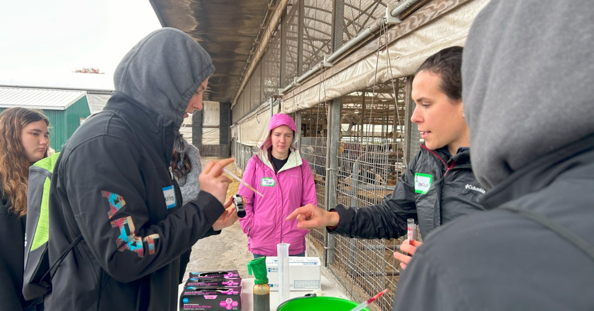 Veterinary High School Experience