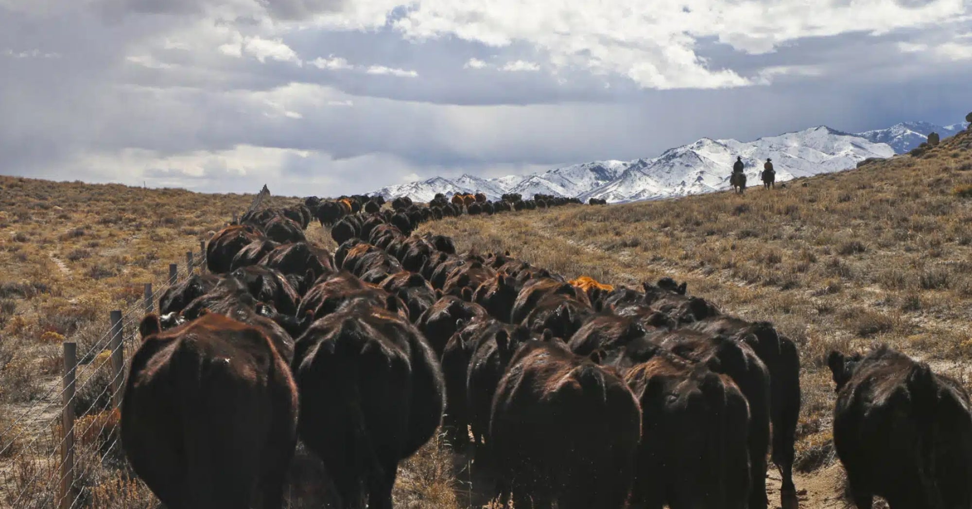Pathfinder Ranches
