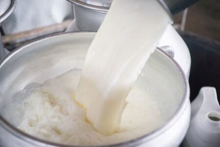 Idaho Sees Wave of Illnesses After Raw Milk Consumption