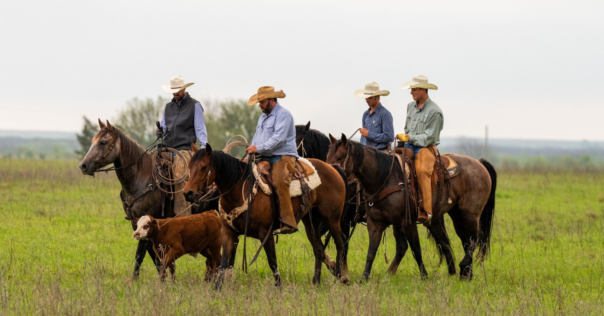 Stuart Ranch