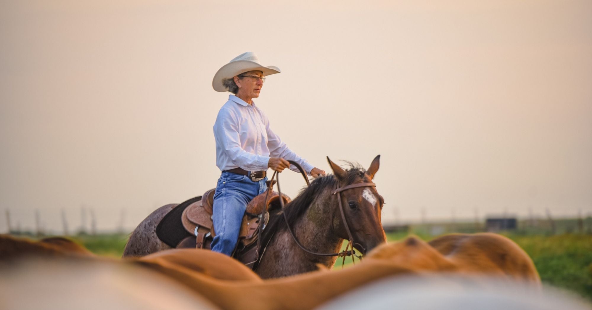 Stuart Ranch