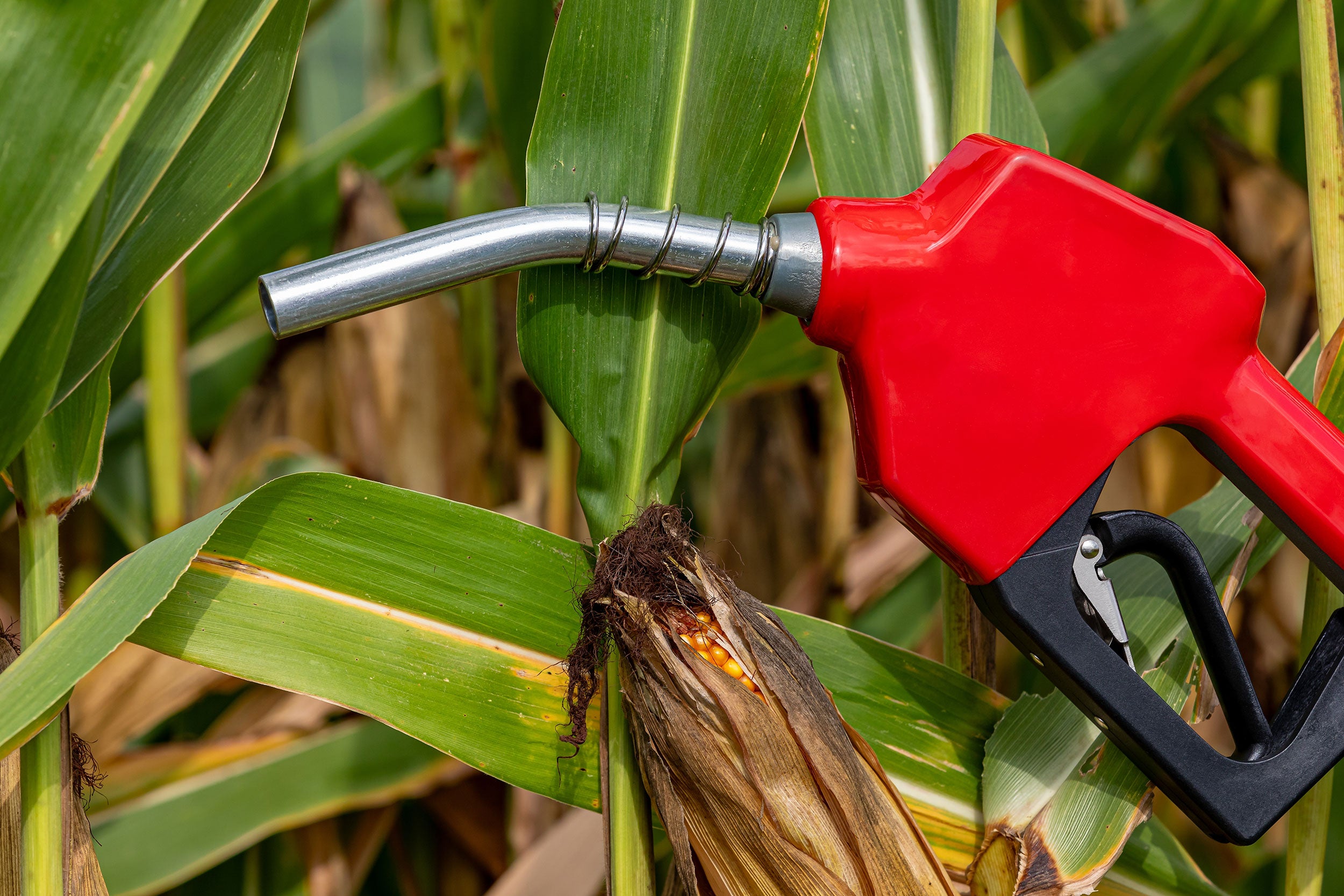 corn-ethanol-nozzle-concept