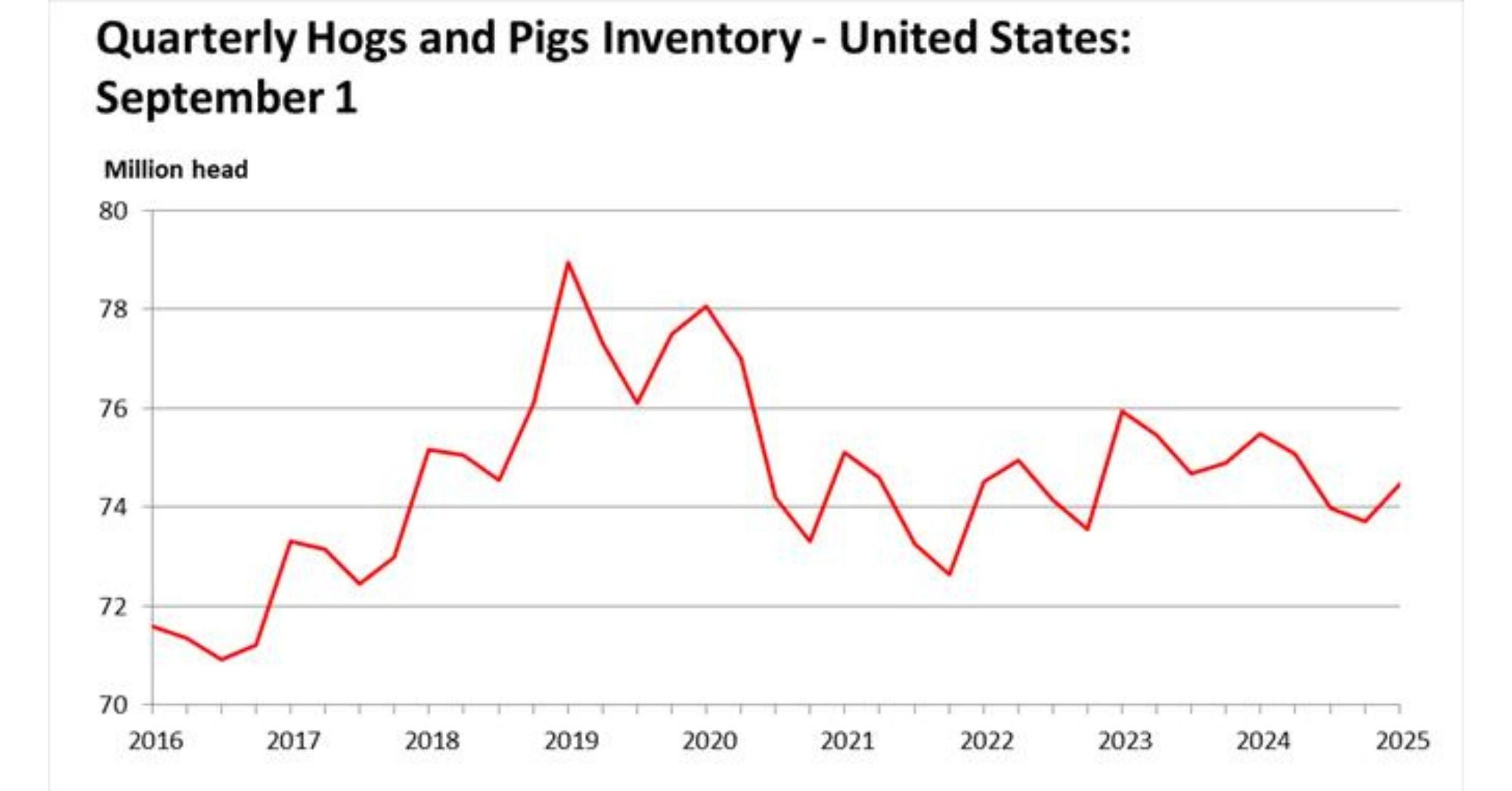 USDA Hog Report