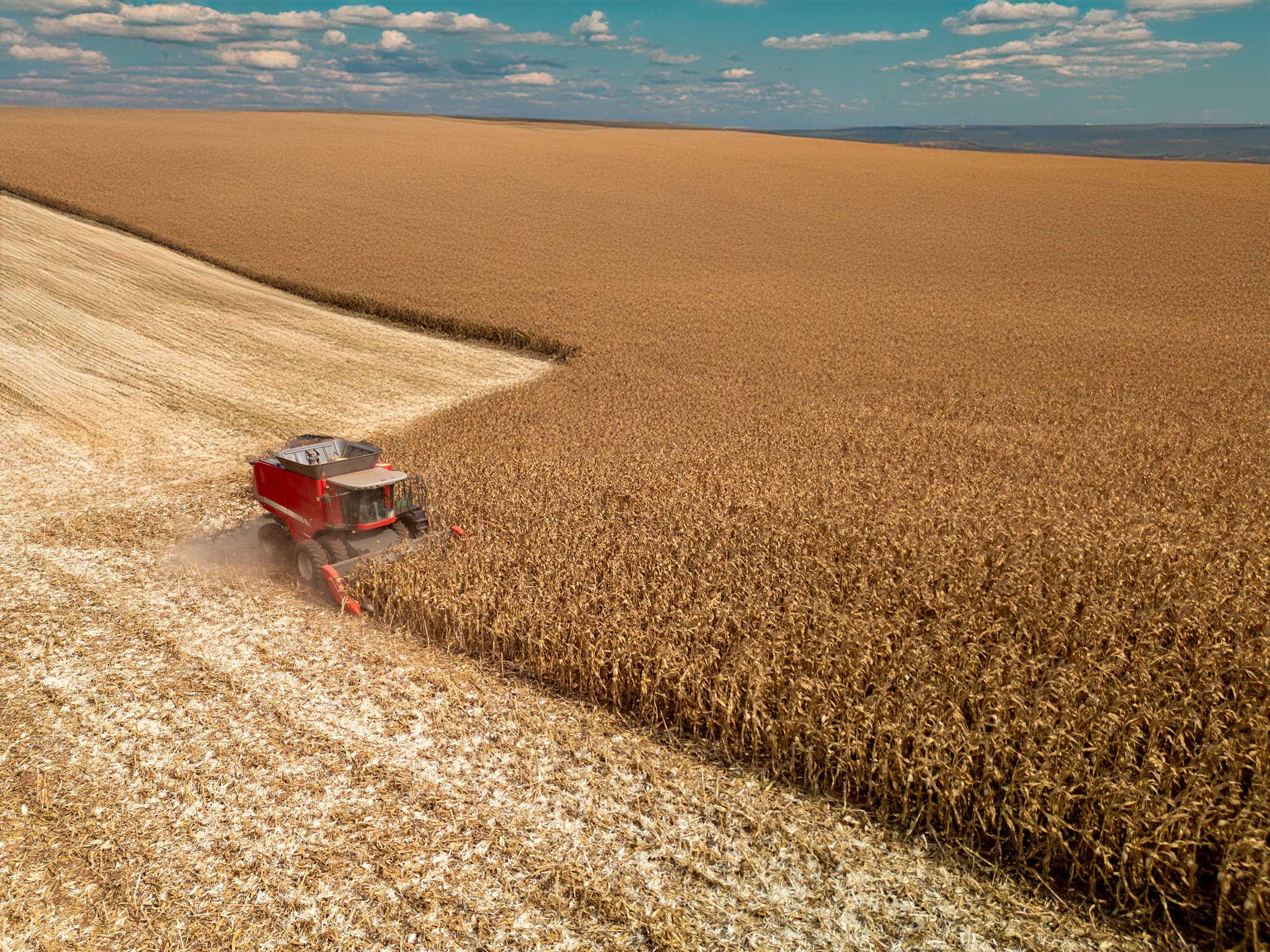 corn-harvest-field-production-ag