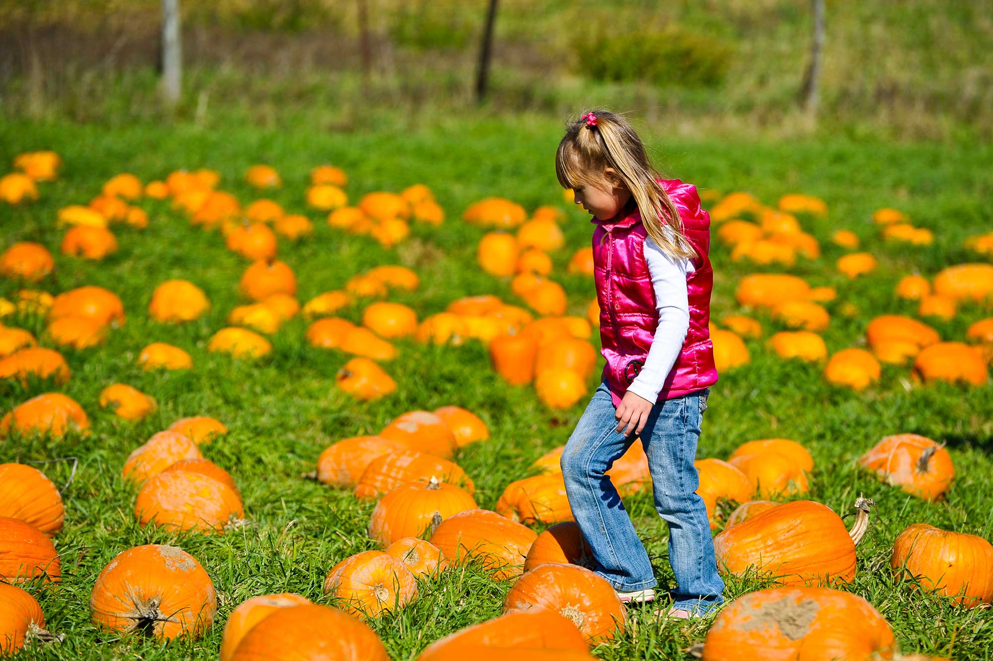 agritourism venues