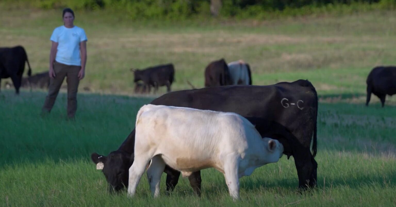 Nominations open for 2026 Environmental Stewardship Awards