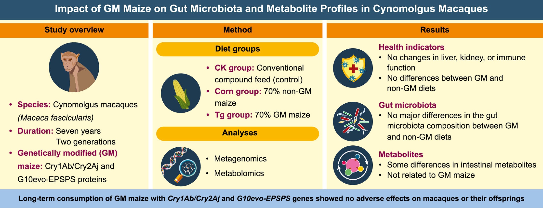 GMOs-safety-graphic-Food-Chemical-Toxicology