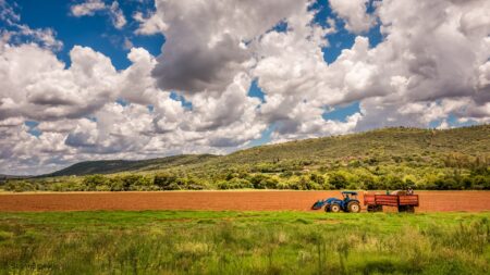 Stage 2 of USDA Disaster Assistance is Available Soon