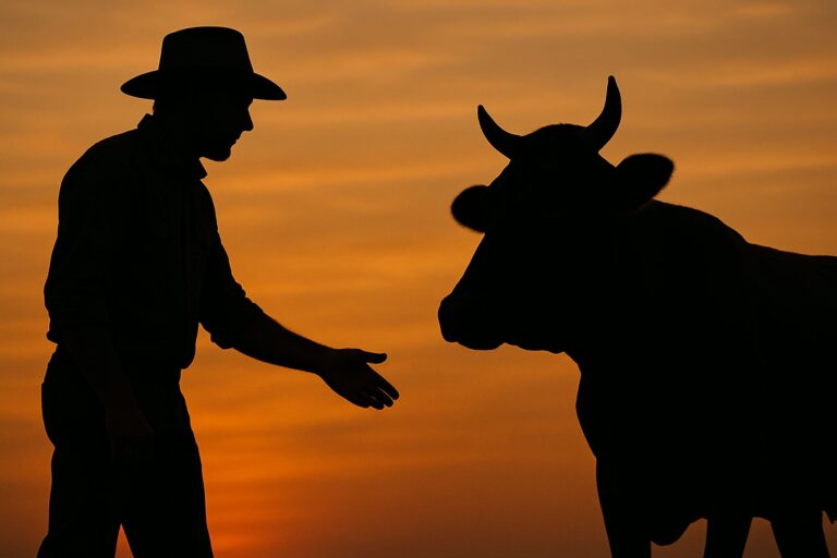 How Close are We to Seeing ‘Influencers’ Use AI to Fake Ag Images?