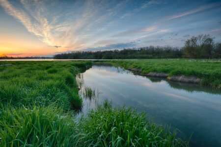 Farm Bureau Calls on EPA to End WOTUS Uncertainty