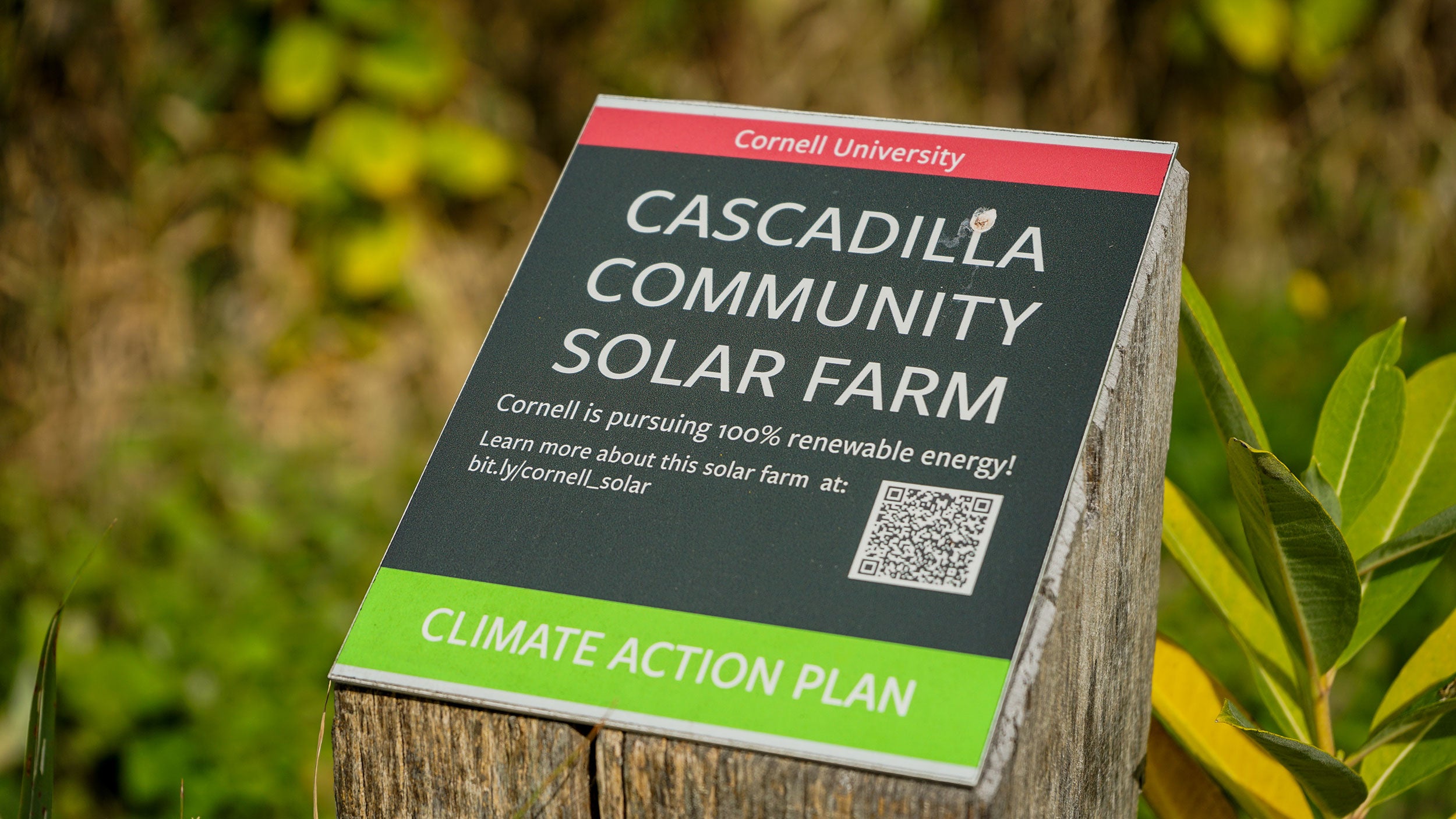 Zajkowski-SOLAR-farm