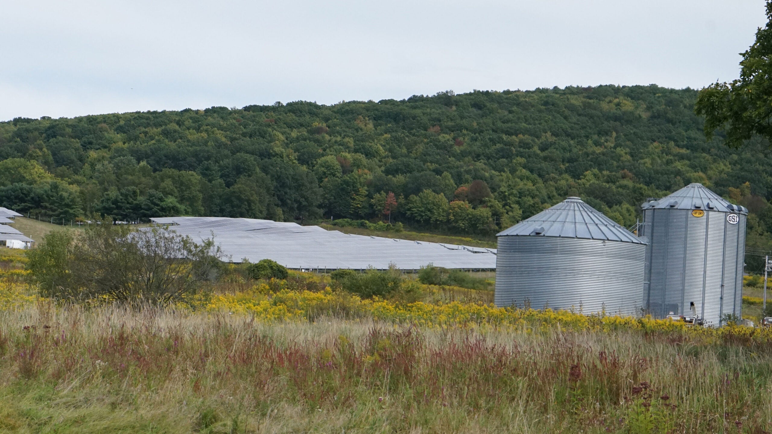 Zajkowski-SOLAR-field-farm