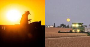 Ag on Instagram: The week’s best photos on Nov. 7, 2025