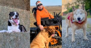 Vote for the 2025 AFBF People’s Choice pup